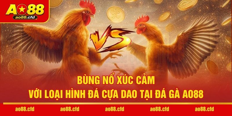 Bùng nổ xúc cảm với loại hình đá cựa dao tại đá gà AO88