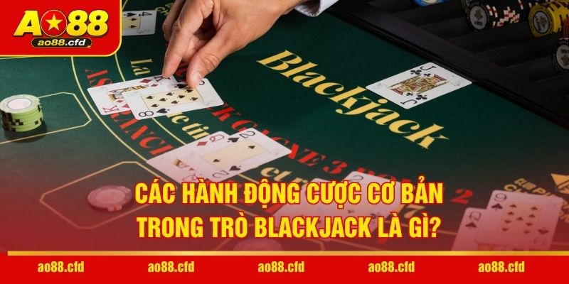 Các hành động cược cơ bản trong trò Blackjack là gì?