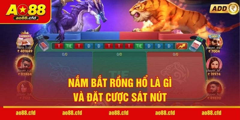 Nắm bắt Rồng Hổ là gì và đặt cược sát nút
