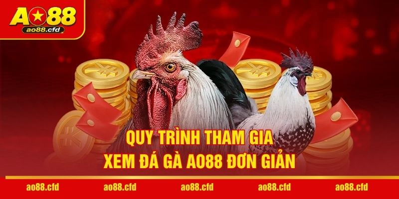 Quy trình tham gia xem đá gà AO88 đơn giản