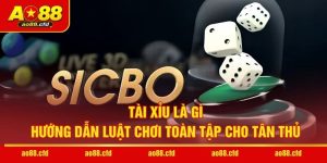 Tài Xỉu Là Gì - Hướng Dẫn Luật Chơi Toàn Tập Cho Tân Thủ